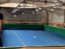 Kapendam II/Sriwijaya Sebut ada Dugaan Uang Mengalir ke Kepolisian dari Judi Sabung Ayam Way Kanan