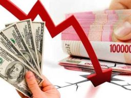 Pengamat: Pelemahan Rupiah Tidak Boleh Dibaca Hanya Sebagai Persoalan Pasar