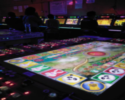 Praktik Judi di Kota Batam Kian Menggila, Aparat Penegak Hukum Dinilai Tutup Mata