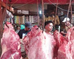 Cegah Wabah PMK, APDI Dukung Pemerintah Perketat Pengiriman Sapi ke DKI Jakarta