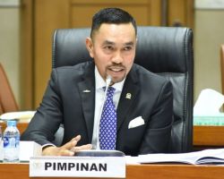 Sahroni Ungkap Rencana Duet dengan Airin di Pilkada DKI Jakarta