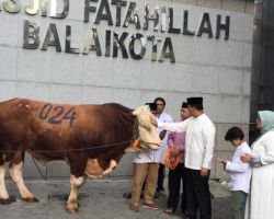 Anies Baswedan Kurban Sapi Seberat 1,2 Ton