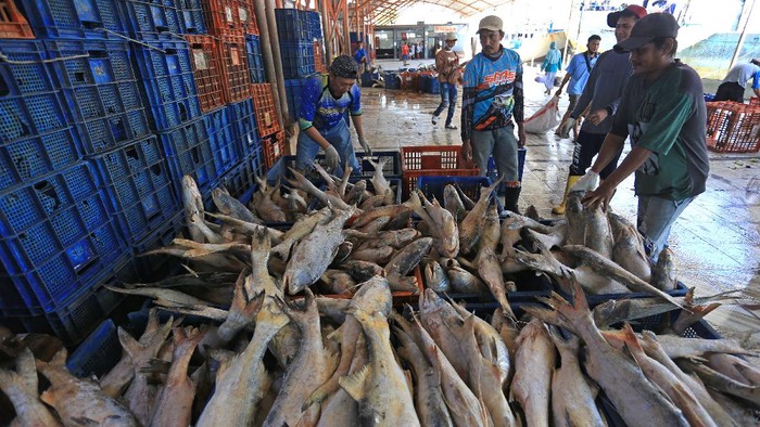 Kemenkeu: Ekspor Tumbuh Tinggi Bukti Perbaikan Struktur Ekonomi RI