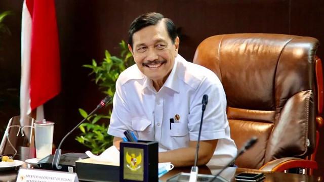 Luhut: Audit Perkebunan Bantu Perbaiki Tata Kelola Industri Sawit