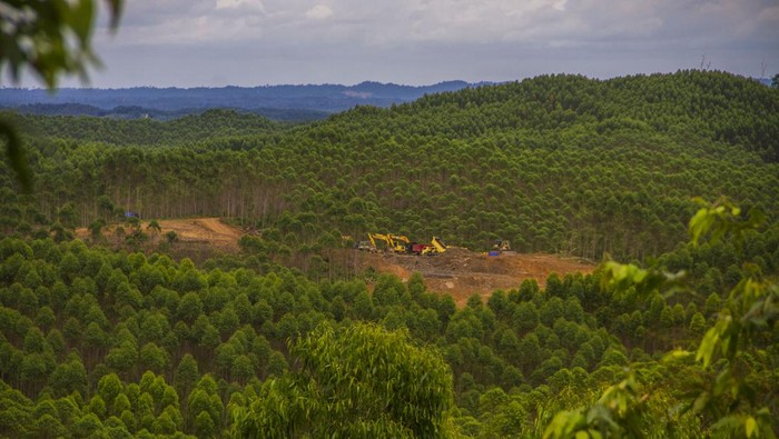 KPK: Ada Bagi-Bagi Kavling di IKN